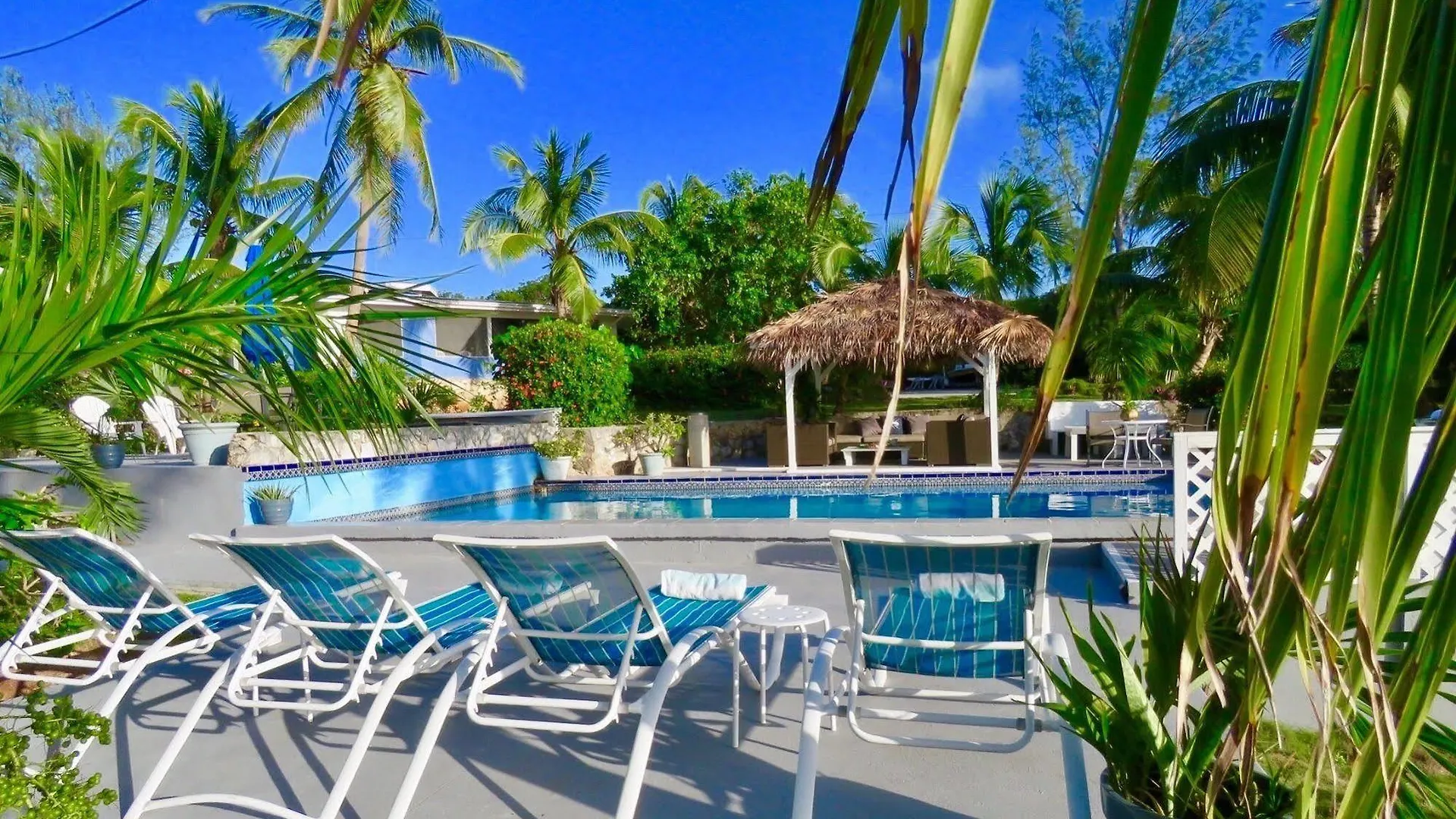 Rainbow Inn Alice Town  Μπαχάμες